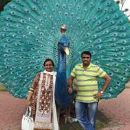 Bharat Soni
