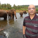 Madan Sodani