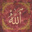 Raheeb shah