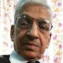 Digvijai  BAHL