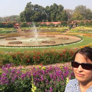 Shalini Tiwari