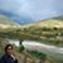 Renu Wahi