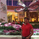Shailesh Shenava