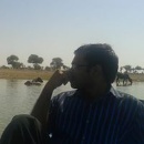 ankit jain