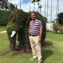 Amit Roy