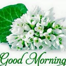 Sudhir Gangey