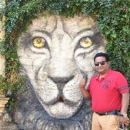 Praveen  Reddy 