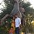 Margam  Srinivas