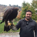 Nilesh Shete