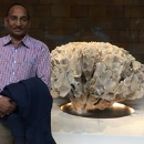 Chiranjeevi Reddy Pidatala