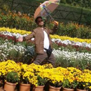 Ramesh K.