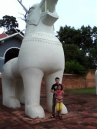 Sarat Singh