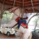 Varun  Chhabra