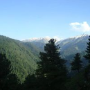 Feroze  Ganai