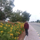 sreenivas ambalaparambil