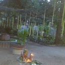Sudha Sasidharan