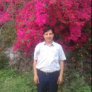 Mahander Pall