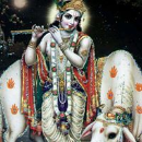 Aravind Mucharla
