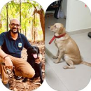 Paresh Kamat