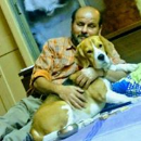 Harsh Dhar