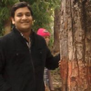 pankaj  ojha