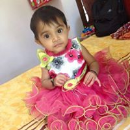 Umesh S Gedia