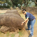 Nilotpal Chakma