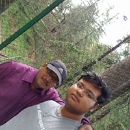 dillip kar