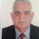 Mohamed  A EL Guindi 