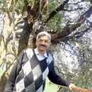 Neeraj Tiwari