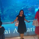 Namrata  Chourasia
