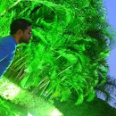 Puneet Nayak