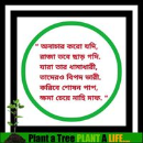 Suman Kundu