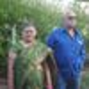 P N Mishra