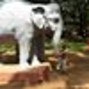 Suresh C