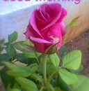 Arvind Sharma