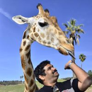 Sengottaian Sivakumar