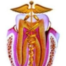 Sunanda Rao