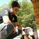 Lokesh Lalwani