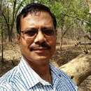 Soni 