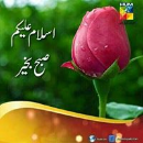Syed Naseer Ahmed