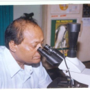 Surjya Kumar Debnath