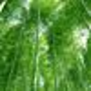 akila02031978 