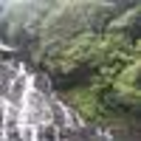 Madhu  Mitha