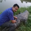 Sambit Kumar Das