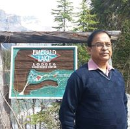 Bhupendra P Sarma