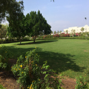 Sangeet 