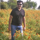 Sravan K. Mithai