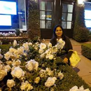 Rashmi Sudhir