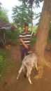 Alok Chandra Agarwal